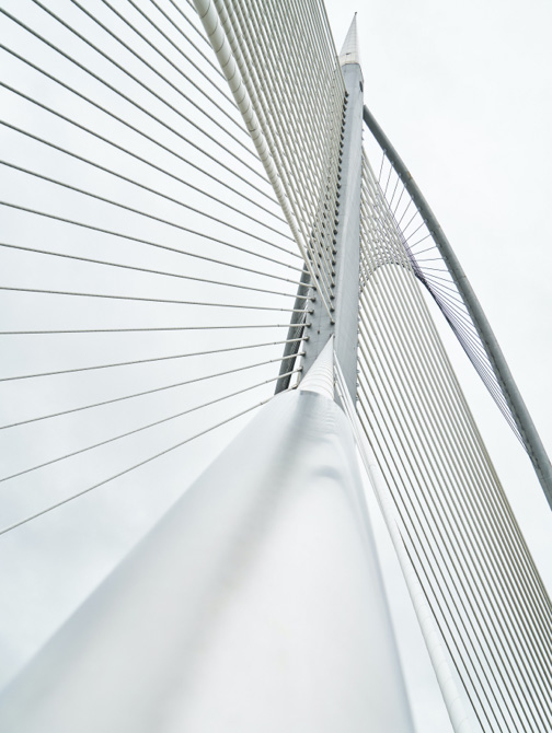 Pexels pixabay 434659